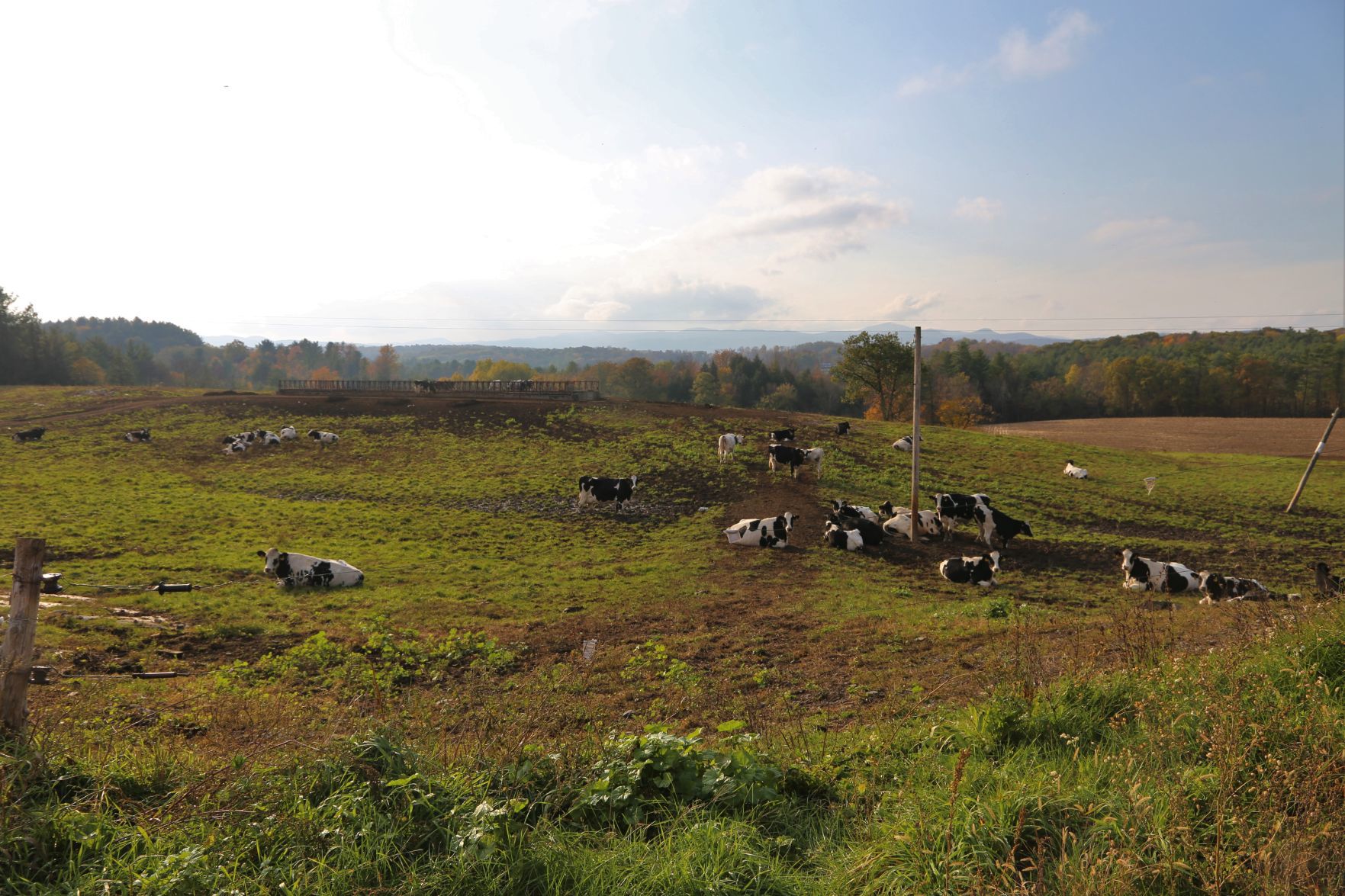 Hollister Brothers Farm